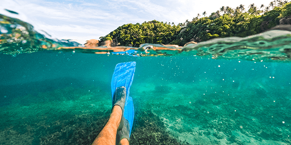 Experience the Island Life image